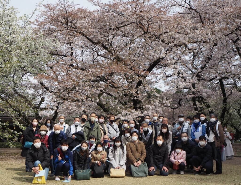 22年春の厚生行事 あべ会長と桜を見る会in新宿御苑 を開催しました 東京青年税理士連盟