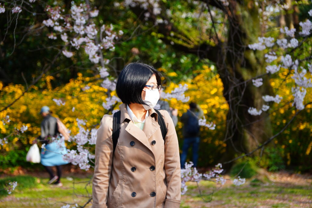 22年春の厚生行事 あべ会長と桜を見る会in新宿御苑 を開催しました 東京青年税理士連盟