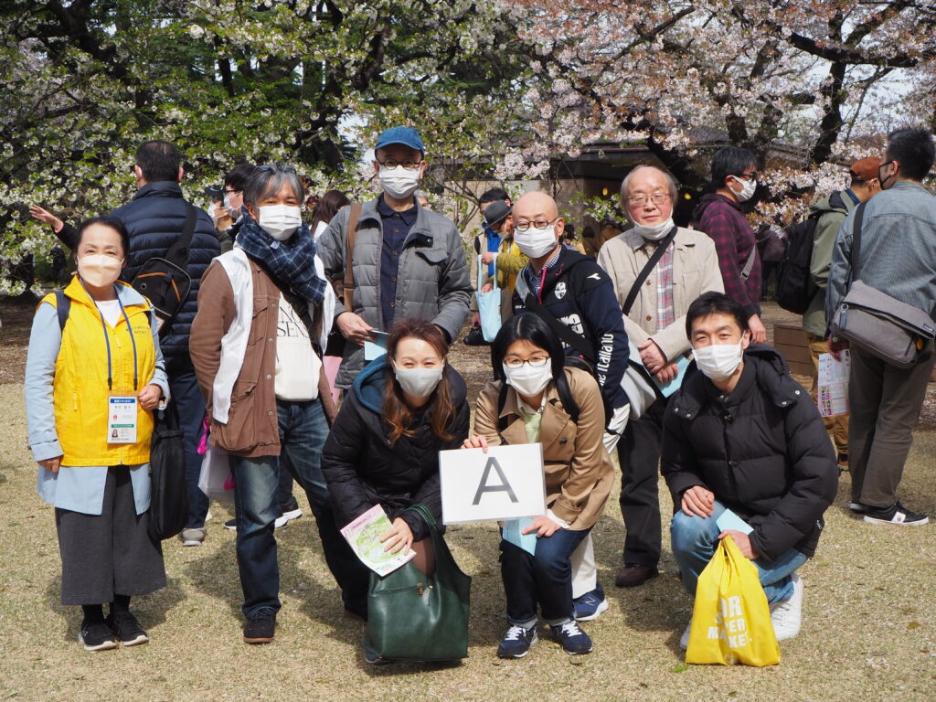 22年春の厚生行事 あべ会長と桜を見る会in新宿御苑 を開催しました 東京青年税理士連盟